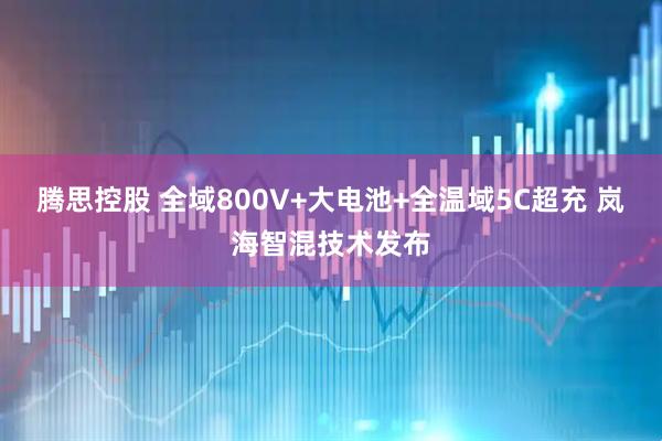 腾思控股 全域800V+大电池+全温域5C超充 岚海智混技术发布