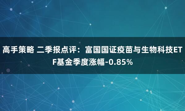 高手策略 二季报点评：富国国证疫苗与生物科技ETF基金季度涨幅-0.85%