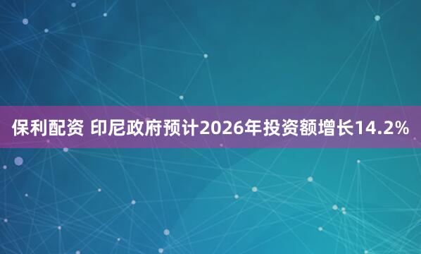 保利配资 印尼政府预计2026年投资额增长14.2%