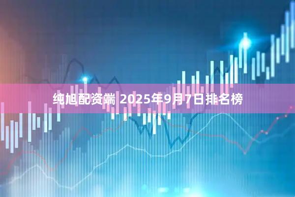 纯旭配资端 2025年9月7日排名榜